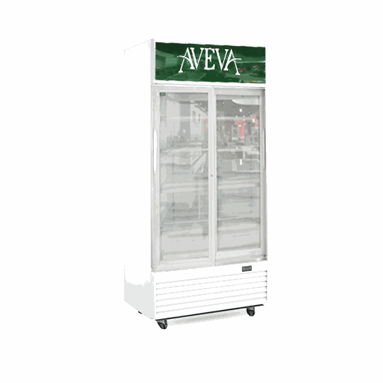Refrigerator model REEM - LG420 with 420 L capacity, hinge doors, and mechanical controls.